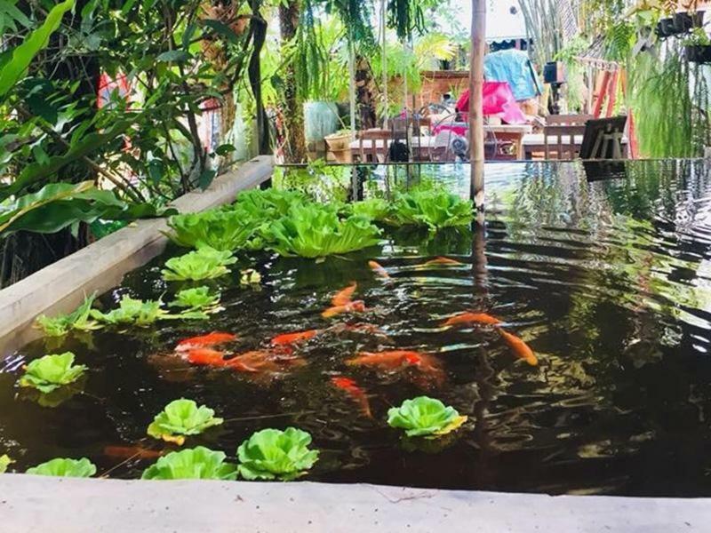 Artist'S Place ترات المظهر الخارجي الصورة